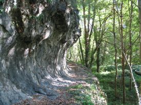 Visite guidée de la Voie romaine de Rochetaillée