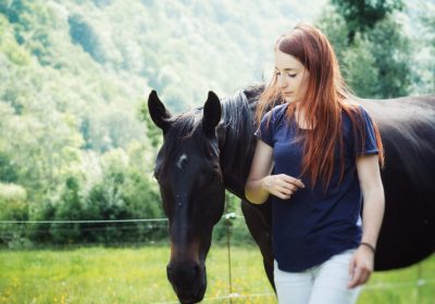 Equidanse Equine Mediation